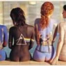 Pink Floyd Door Poster Print