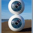 Pink Floyd Music Poster