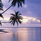 Tropical Sunset Giant Poster