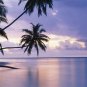 Tropical Sunset Giant Poster