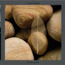 Feuilles Et Galets Mini Door Poster