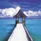 The Maldives Poster