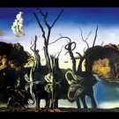 Salvador Dali Poster
