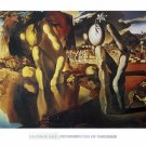 Metamorphosis Narcissus - Salvador Dali Poster