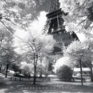 Afternoon In Paris Poster