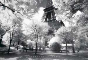 Afternoon In Paris Poster
