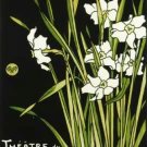 Theatre Du Chat Noir Poster