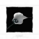 Three Flowers Mini Door Poster