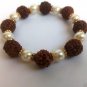 5 Mukhi Rudraksha Decorative to Regulate Blood Pressure and Body Fat Free Ship