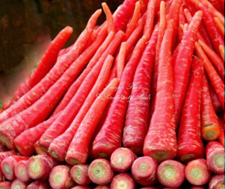 100 Seeds Kyoto Red Carrot Japanese heirloom rare garden seeds Natural