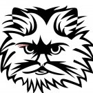 FLUFFY CAT HEAD CROSS STITCH CHART
