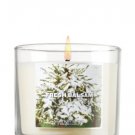 Slatkin & Co. 4 Oz. Small Candle Fresh Balsam