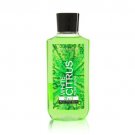 Bath Body Works White Citrus 10.0 oz 2 in 1 Hair Body Wash (10 Ounces)
