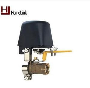 HomeLink 8/16V Intelligent Geeklink Mobile Phone RF Control Gas Pipeline Robot