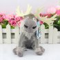 20CM Plush Toys 2014 New Cute Elsa Anna Plush Doll Kids gift