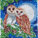 Moon Owls Rug Latch Hooking Kit (38x52cm blank canvas)