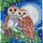 Moon Owls Rug Latch Hooking Kit (38x52cm blank canvas)