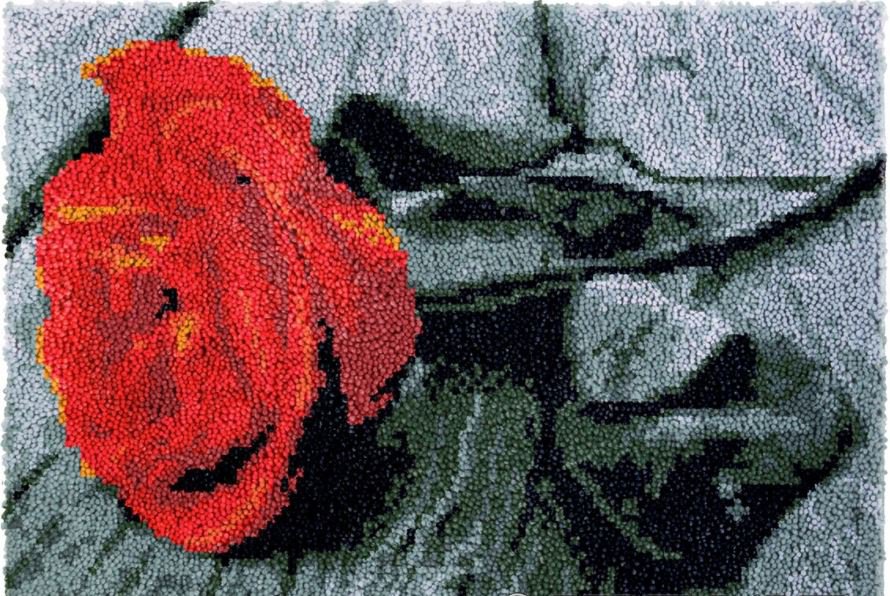 Red Rose Rug Latch Hooking Kit (81x61cm blank canvas)
