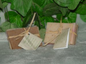 Soap Sampler