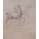 "Centauro"
