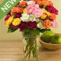 50 Blooms spray roses