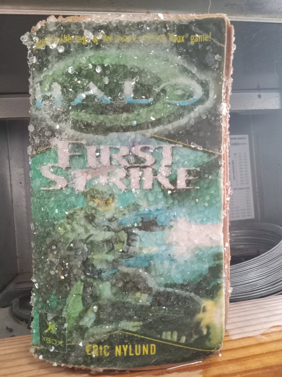 Crystallized Book "Halo First Strike" written by Eric Nylund