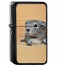 Guinea Pig Cute Animal Pet - Oil Windproof Black Lighters Briquet Encendedor