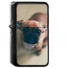 Feed Me Animal Dog - Oil Windproof Black Lighters Briquet Encendedor