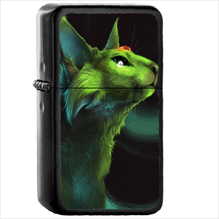 Anime Pok&Atilde;&copy;mon Oil Windproof Black Lighter Briquet Encendedor L2004