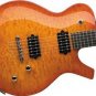 Parker PM20 Flame Maple Tabacco Sunburst w/ Parker Gig Bag FREE SHIPPING www.tmscad.ecrater.com