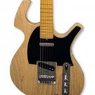 Parker P36 Blonde Strat Electric  w/ Parker Padded Gig Bag FREE SHIPPING  www.tmscad.ecrater.com