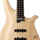 Washburn CB14MK Classic Bass w/ GB6 Case Maple Top FREE SHIPPING www.tmscad.ecrater.com