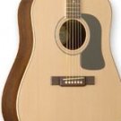 Washburn D10SDL Natural w/Case FREE SHIP Solid Spruce Top www.tmscad.ecrater.com