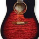 Washburn D10QSB Quilted Maple Sunburst Acoustic w/Case FREE SHIP  www.tmscad.ecrater.com