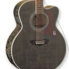 Washburn J28SCEDL Acoustic/Electric Trans Black w/Case FREE SHIP www.tmscad.ecrater.com