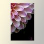 Flower Mandela Printed Yoga Mat Thick 5 mm 24 x 72 Pilates Home Decor Rug Gift Exercise Meditations