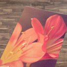 Cornel Flower Printed Yoga Mat Thick 5 mm 24 x 72 Pilates Pink Decor Rug Gift Exercise Meditations