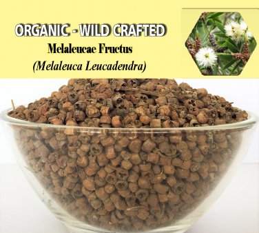8 Oz/227g MELALEUCAE FRUCTUS Melaleuca Leucadendra Organic Wild Crafted 100% Fresh