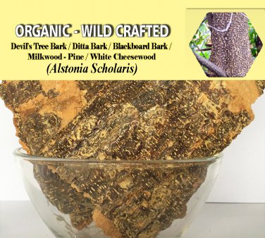1 Lb/454g DEVIL TREE BARK Blackboard Tree Ditabark Alstonia Scholaris Organic Wild Crafted