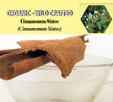 1 Lb/454g CINNAMOMUM SINTOC BARK Cinnamomum Sintoc Blume Organic Wild Crafted 100% Fresh