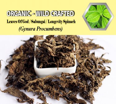 3 Oz Leaves of Gods Longevity Spinach Gynura Procumbens Organic Wild Crafted 84g