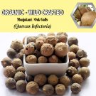 2 Lb/ 908g Manjakani Oak Galls QUERCUS INFECTORIA Organic Wild Crafted Tighten Vagina