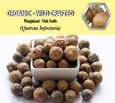 2 Lb/ 908g Manjakani Oak Galls QUERCUS INFECTORIA Organic Wild Crafted Tighten Vagina