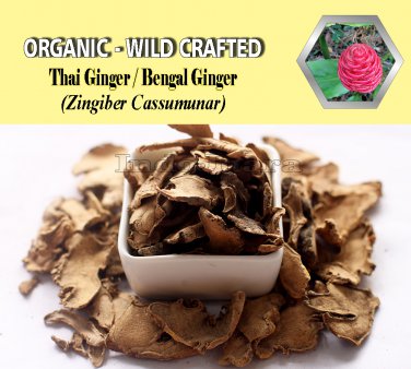 1 Lb/454g Cassumunar Ginger Bengal Ginger Thai Ginger PLAI Zingiber Cassumunar Organic Wild Crafted