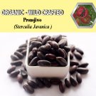 8 Oz/227g PRONOJIWO Sterculia Javanica Organic Dried Herbs Wild Crafted Aphrodisiac