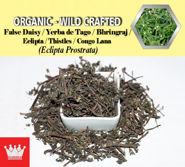 1 Lb / 454g False Daisy Yerba de Tago Bhringraj Thistles Congo Lana Eclipta Prostrata FRESH