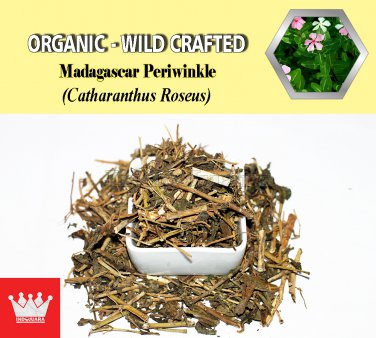 2 Lb / 908g Madagascar Periwinkle Catharanthus Roseus Organic Wild Crafted 100% Fresh