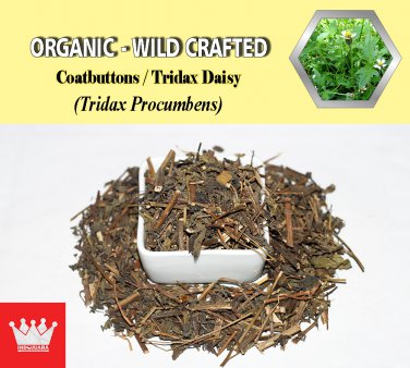 3 Oz / 84g Coatbuttons Tridax Daisy Tridax Procumbens Organic Wild Crafted 100% Fresh