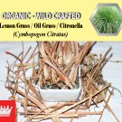 2 Lb / 908g Lemon Grass Oil Grass Citronella Cymbopogon Citratus Organic Wild Crafted Fresh