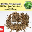 3 Oz / 84g Wild Celery Marsh Parsley Celery Smallage Apium Graveolens Organic Wild Crafted